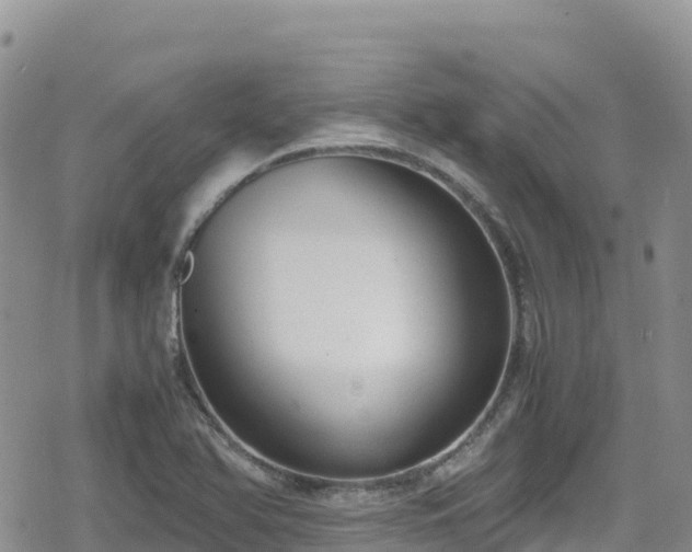 X0000080711366200612221132