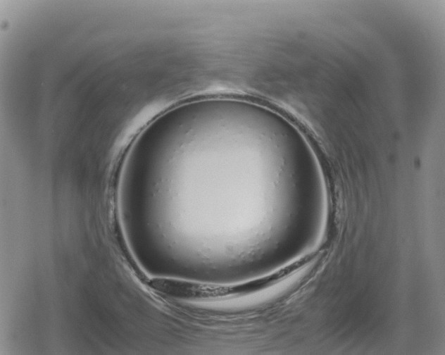 X0000080711367200612221132