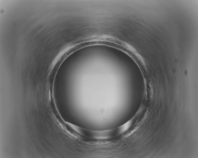 X0000080711368200612221132