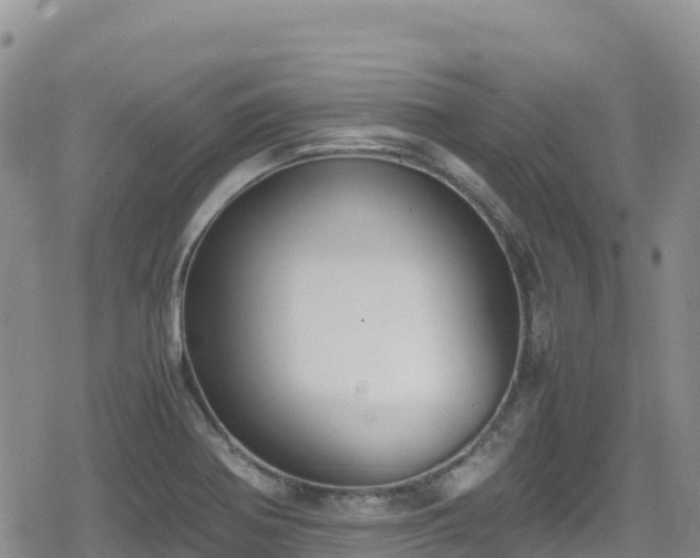 X0000080711370200612221132