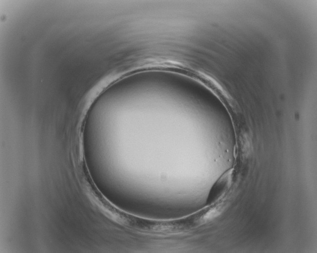 X0000080711371200612221132