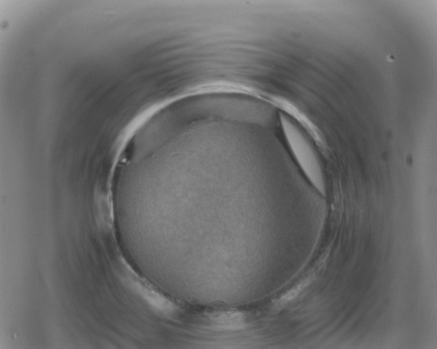 X0000080711372200612221132