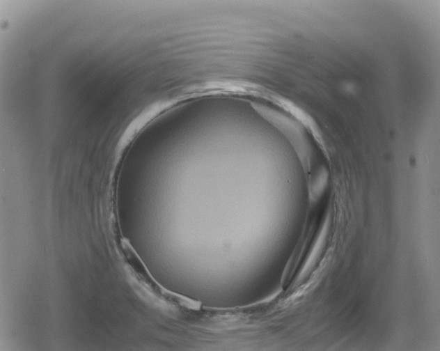 X0000080711373200612221132