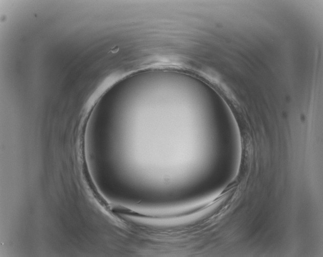 X0000080711375200612221132