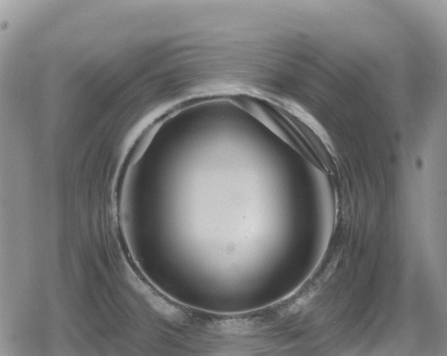 X0000080711380200612221132