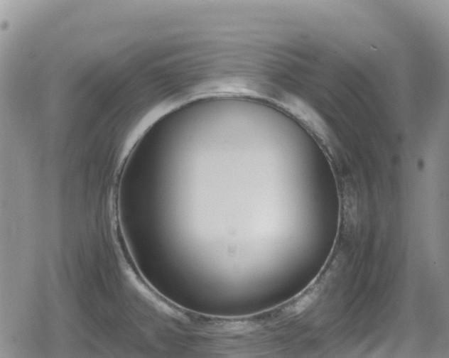 X0000080711382200612221132