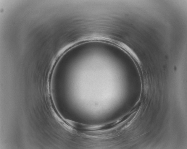 X0000080711388200612221132