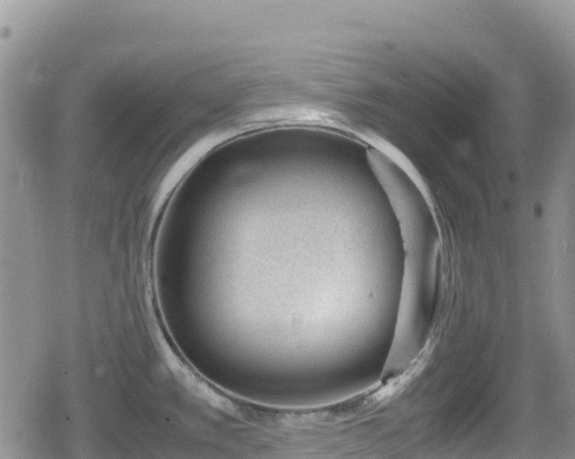 X0000080711389200612221132