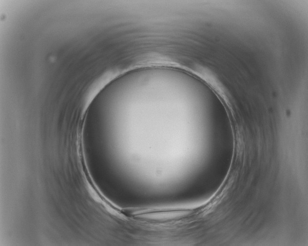 X0000080711390200612221132