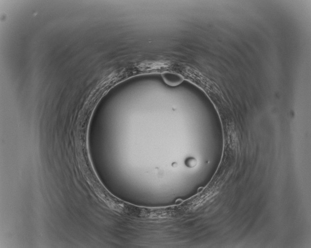 X0000080711393200612221131