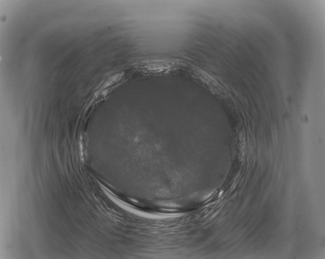 X0000080711394200612221131