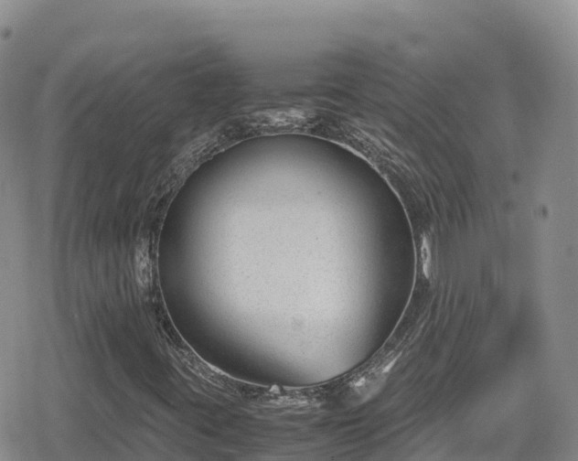 X0000080711395200612221131