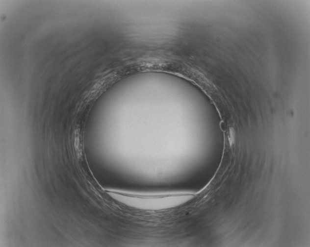 X0000080711396200612221131