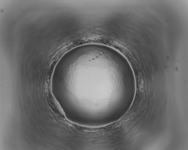 X0000080711397200612221131