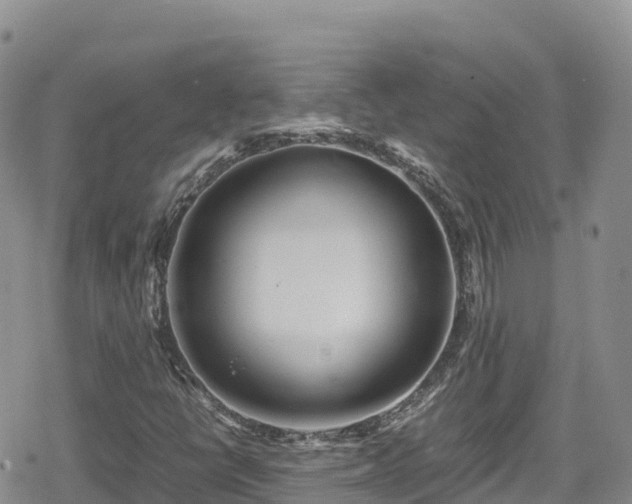 X0000080711398200612221131