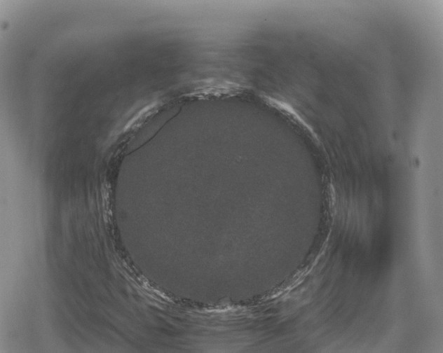 X0000080711399200612221131