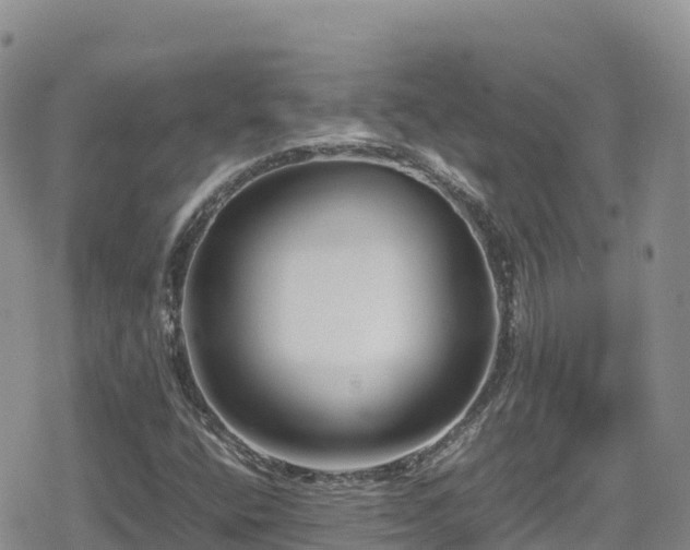 X0000080711400200612221131