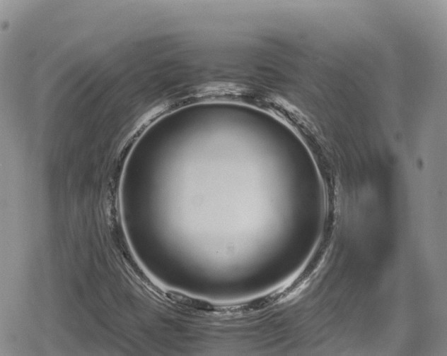 X0000080711401200612221131