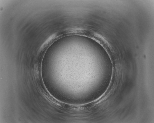 X0000080711403200612221131