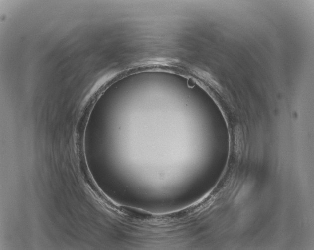 X0000080711404200612221131