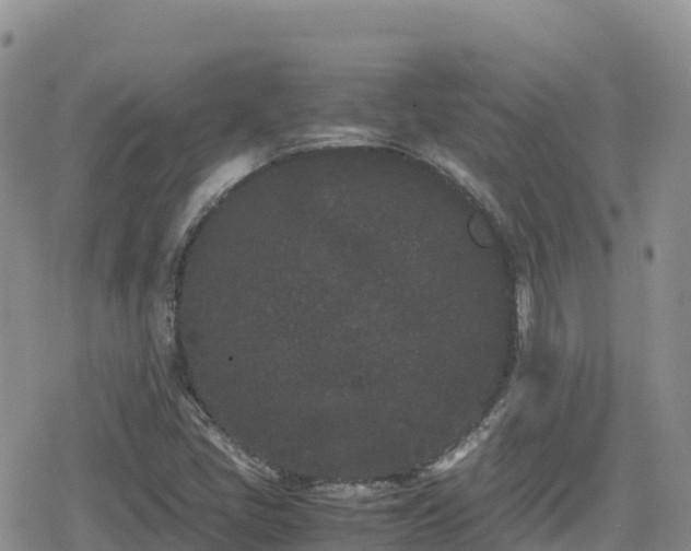 X0000080711405200612221131