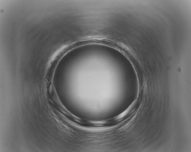 X0000080711406200612221131