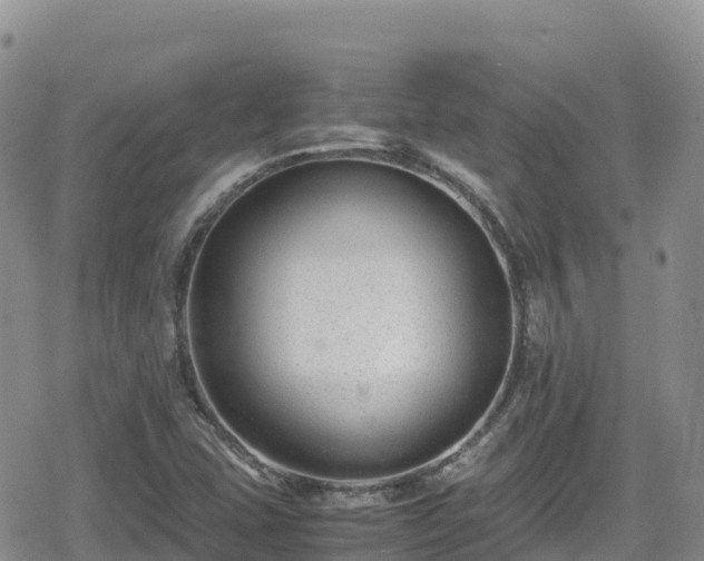 X0000080711407200612221131