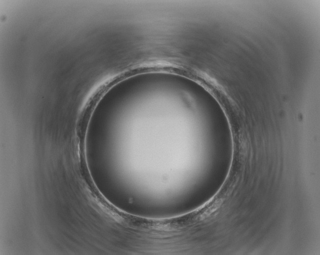 X0000080711408200612221131