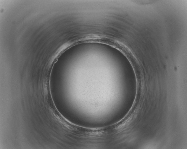 X0000080711409200612221131