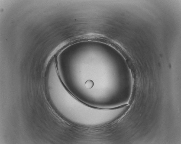 X0000080711410200612221131