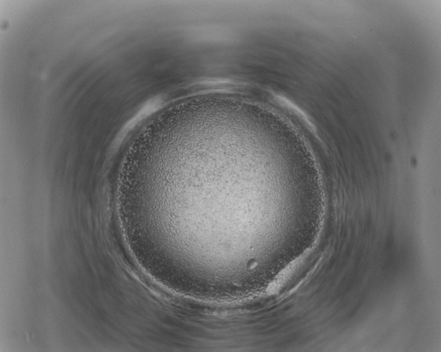 X0000080711411200612221131