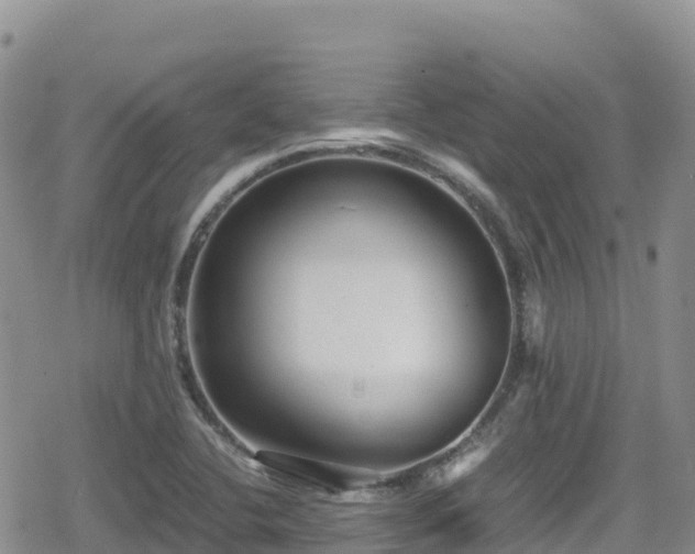 X0000080711412200612221131