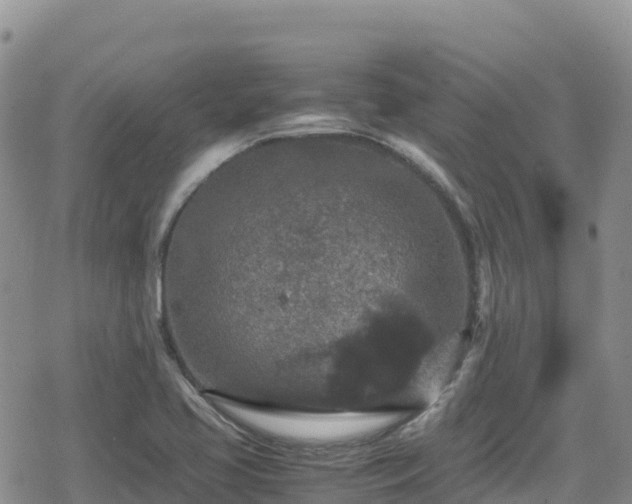 X0000080711413200612221131