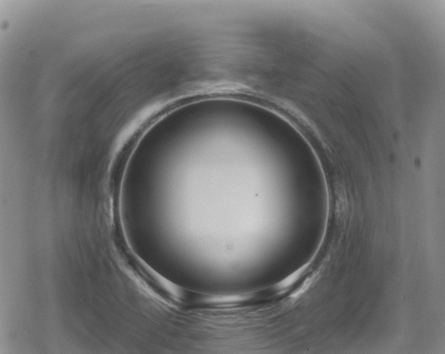 X0000080711414200612221131