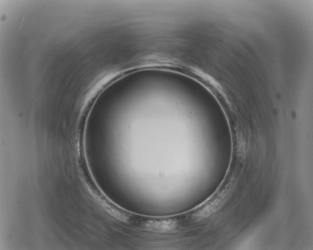 X0000080711415200612221131