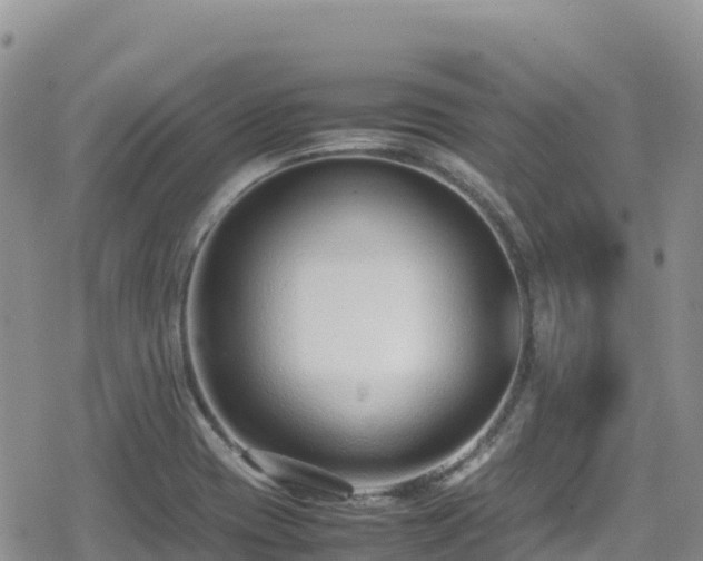 X0000080711417200612221131