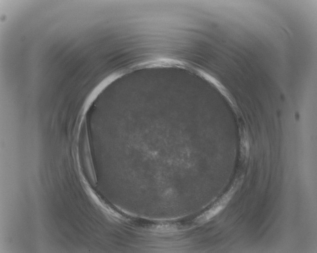 X0000080711418200612221131