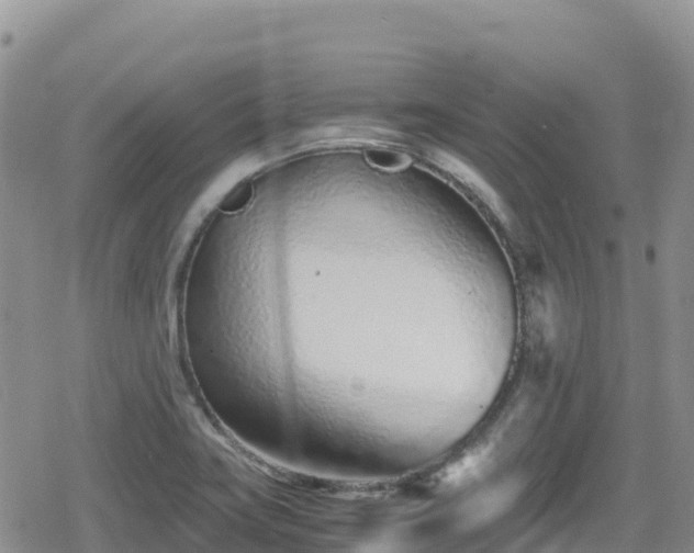 X0000080711419200612221131