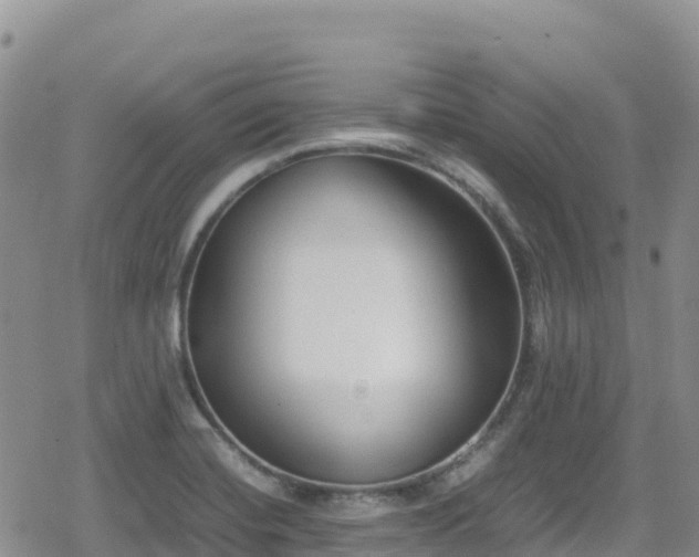 X0000080711420200612221131