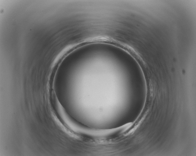 X0000080711422200612221131