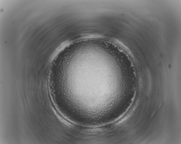 X0000080711425200612221131