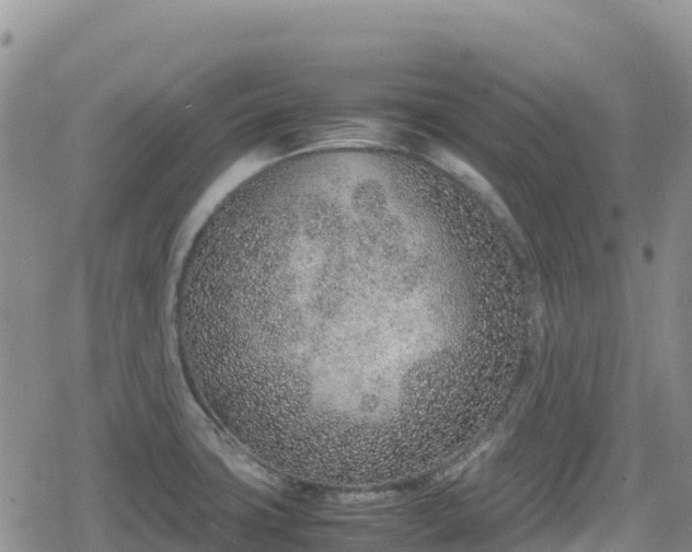 X0000080711427200612221131