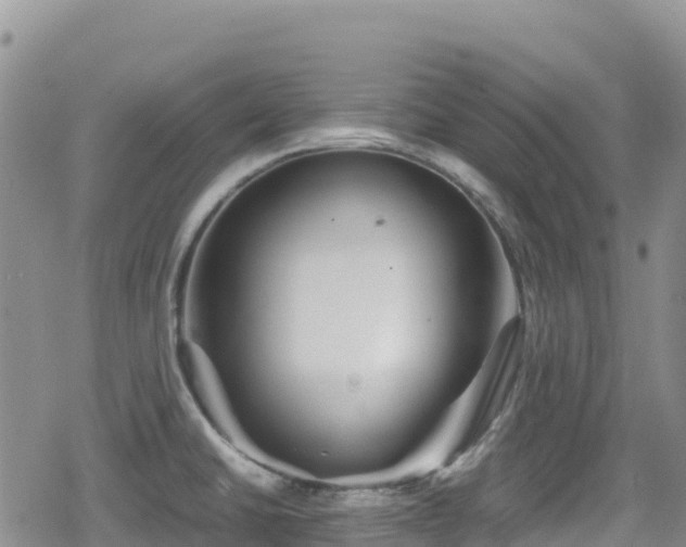 X0000080711430200612221131