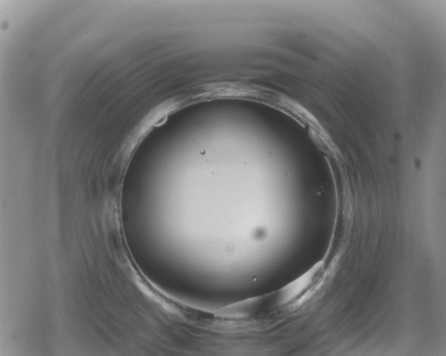 X0000080711433200612221132