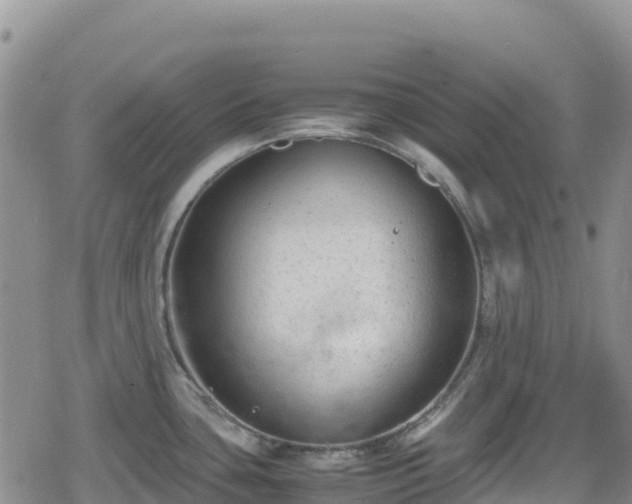 X0000080711435200612221132