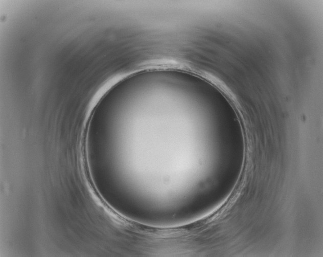 X0000080711440200612221132