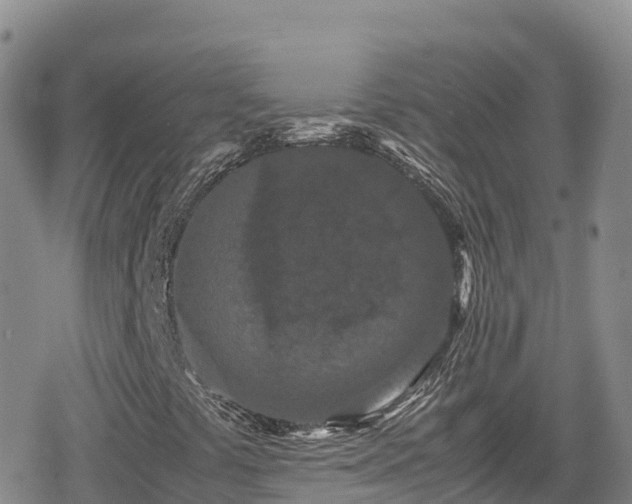 X0000080711441200612221131