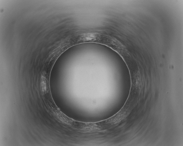 X0000080711442200612221131