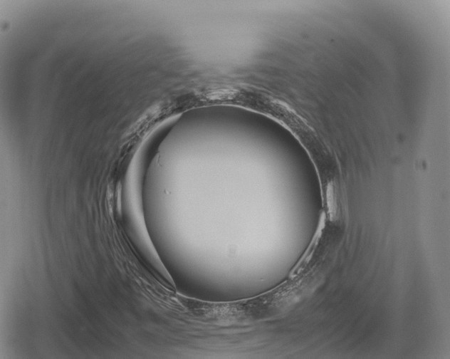 X0000080711443200612221131