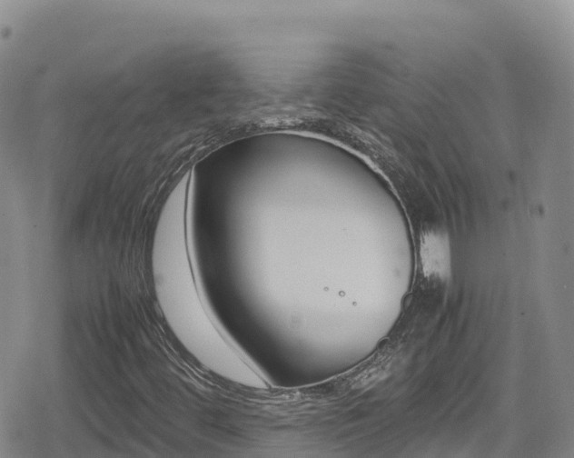 X0000080711444200612221131